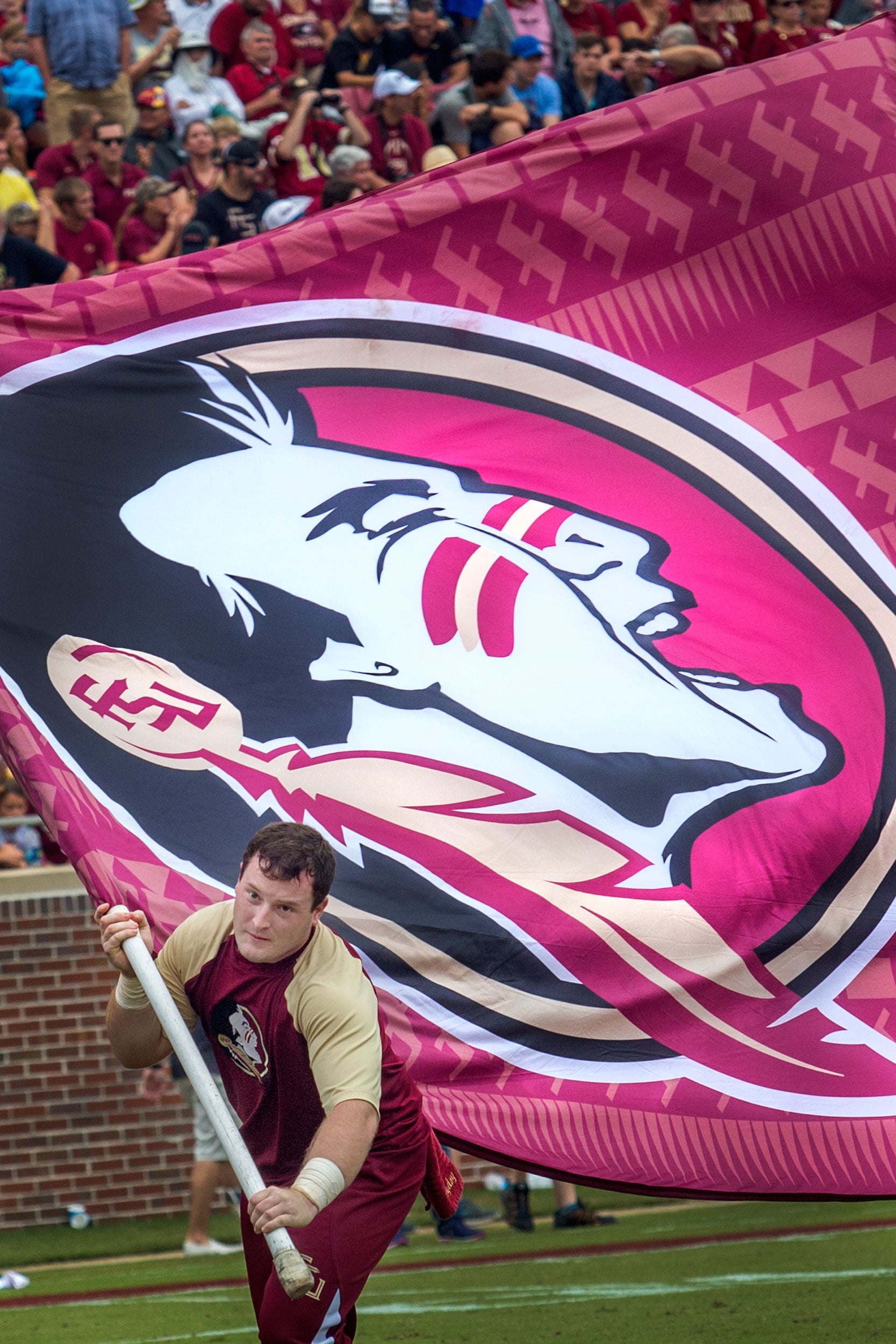 'Noles Flag