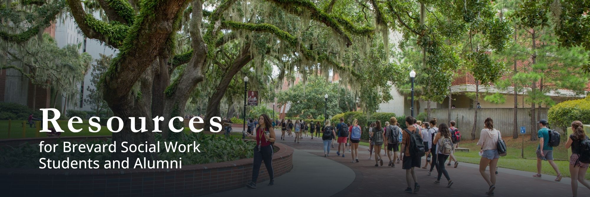 Image of students walking around the FSU CSW campus with surrounding oak trees 