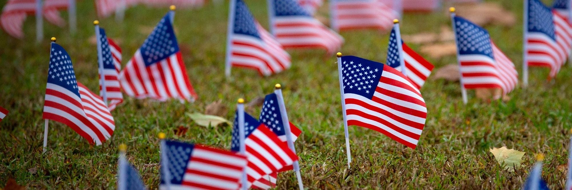 image of small American flag decorations placed in a row in green field of grass