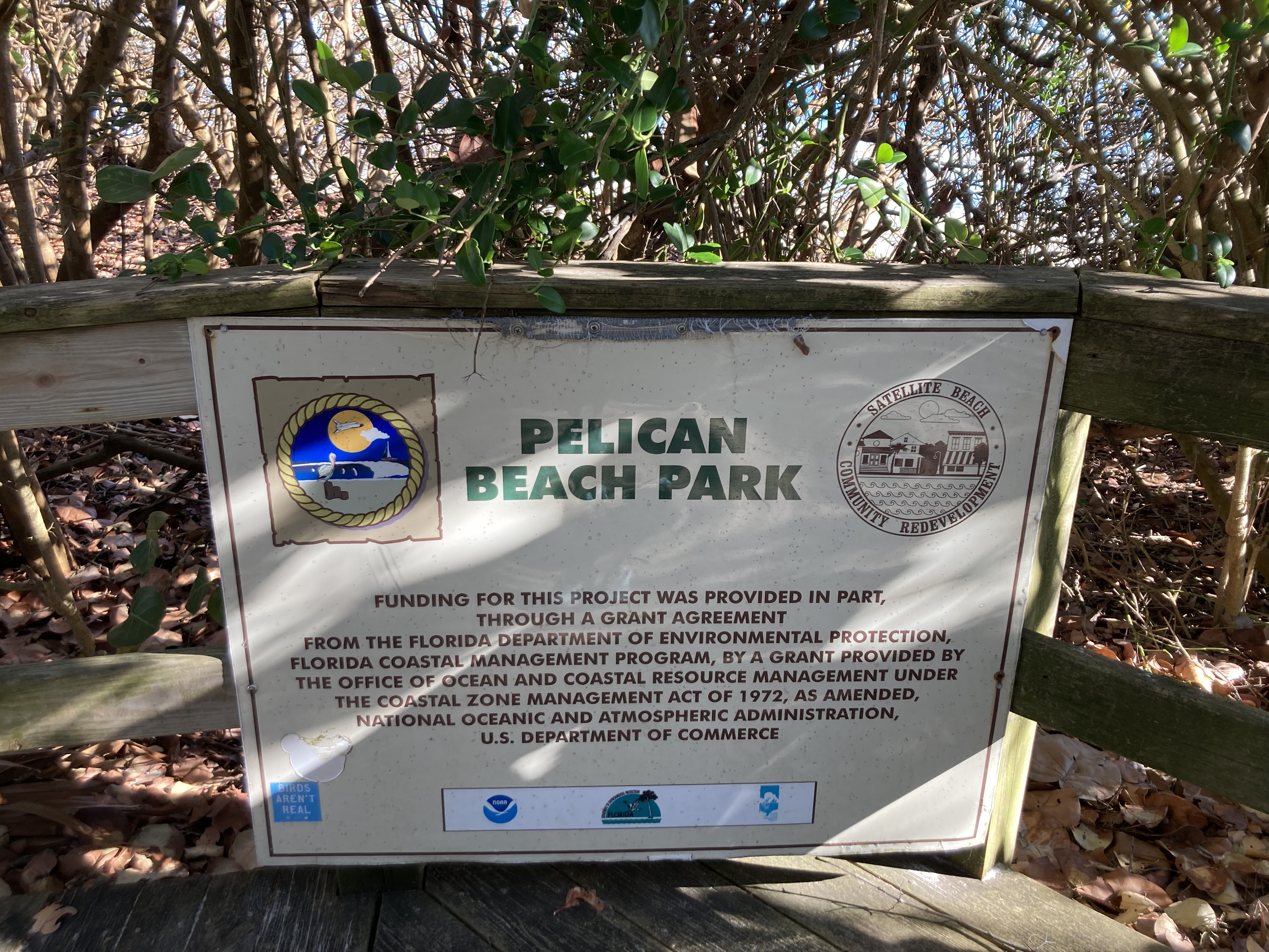 Sign of Belican Beach Park, located below some seagrapes.